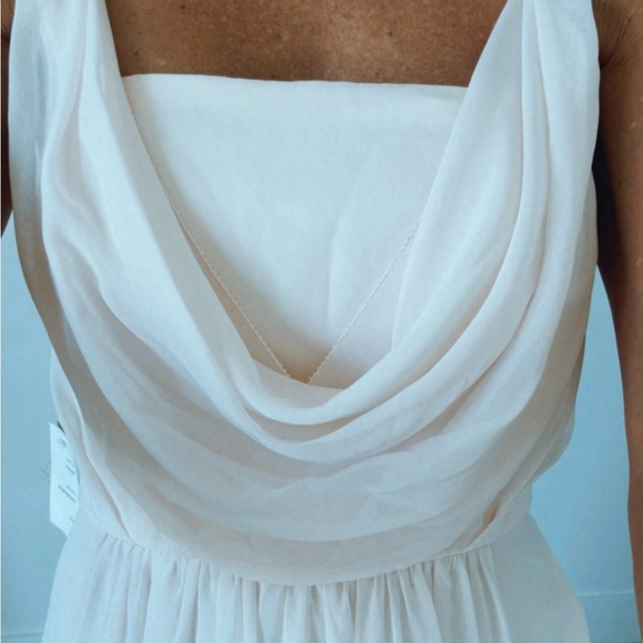 Adrianna Papell Champagne Yvory Blush Crepe Dress - Picture 12 of 12